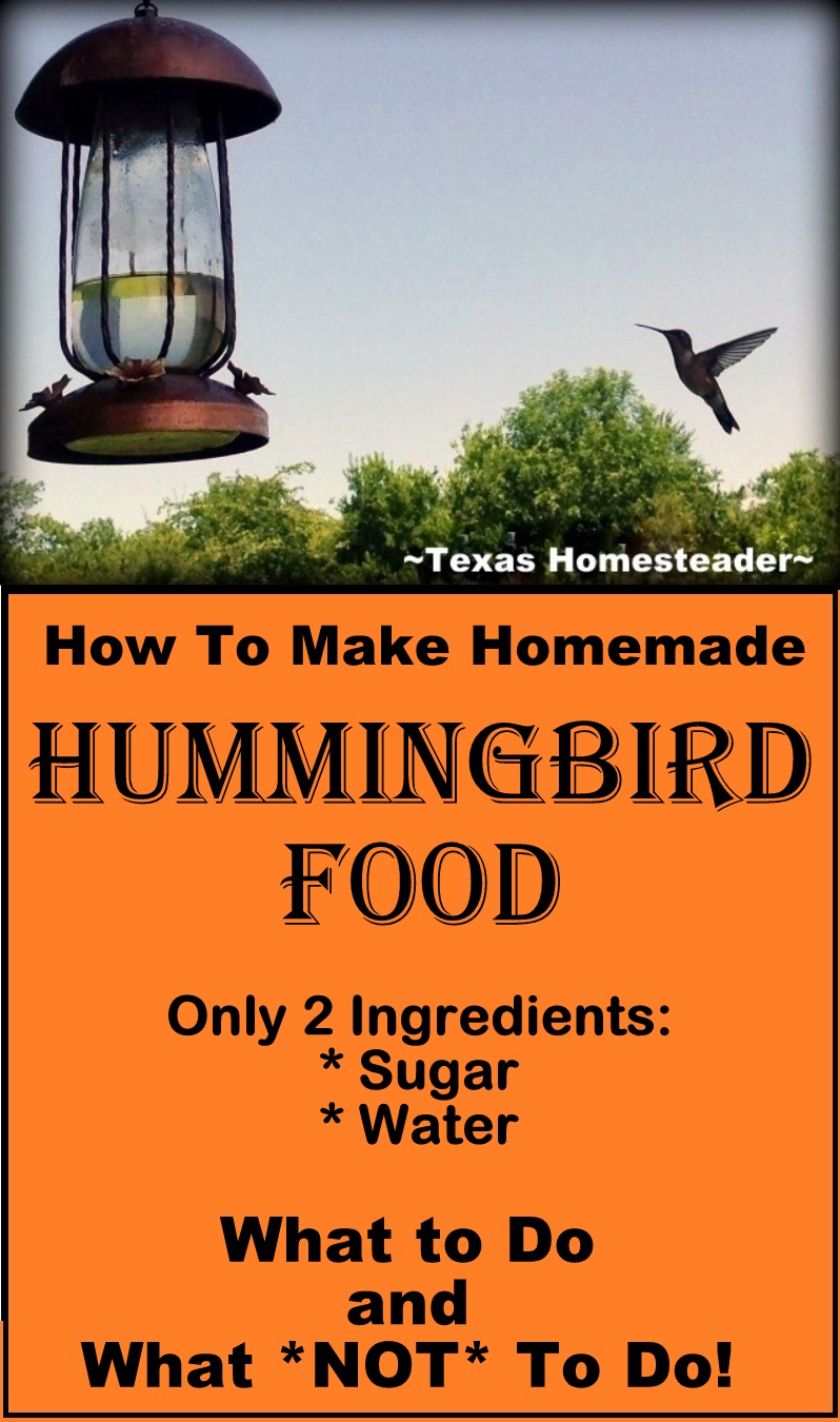 Hummingbird που πετάει προς τον τροφοδότη πουλιών γεμάτη με νερό ζάχαρης. Hummingbird τροφοδοσία ζάχαρη νερό μεταναστευτικό πτηνό Hummer birdfeeder #texashomesteader
