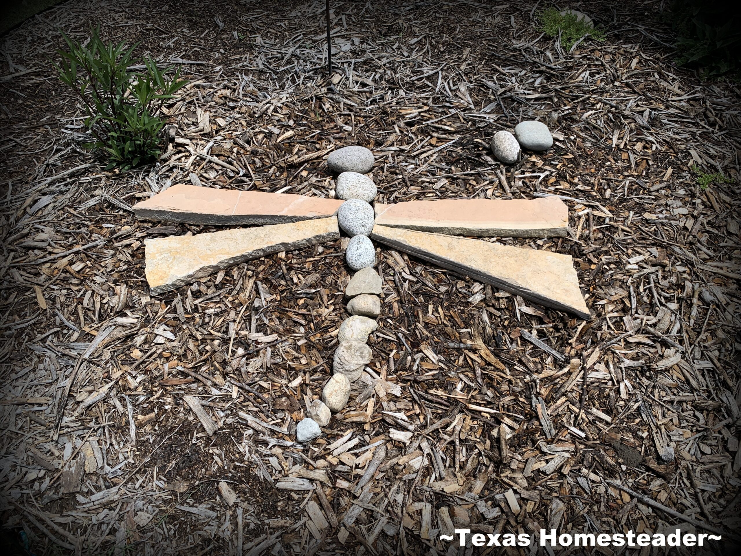 Dragonfly Rock Art Χαρακτηριστικά από διάφορα βράχια τοποθετημένα σε έναν κήπο του βορειοανατολικού Texas Homesteader. Dragonfly Rock Art Χαρακτηριστικό από διάφορα βράχια τοποθετημένα στον κήπο του Βορειοανατολικού Τέξας για να τιμήσει τη μητέρα μου, έναν φυσιοδίφη του Τέξας. #Texashomesteader
