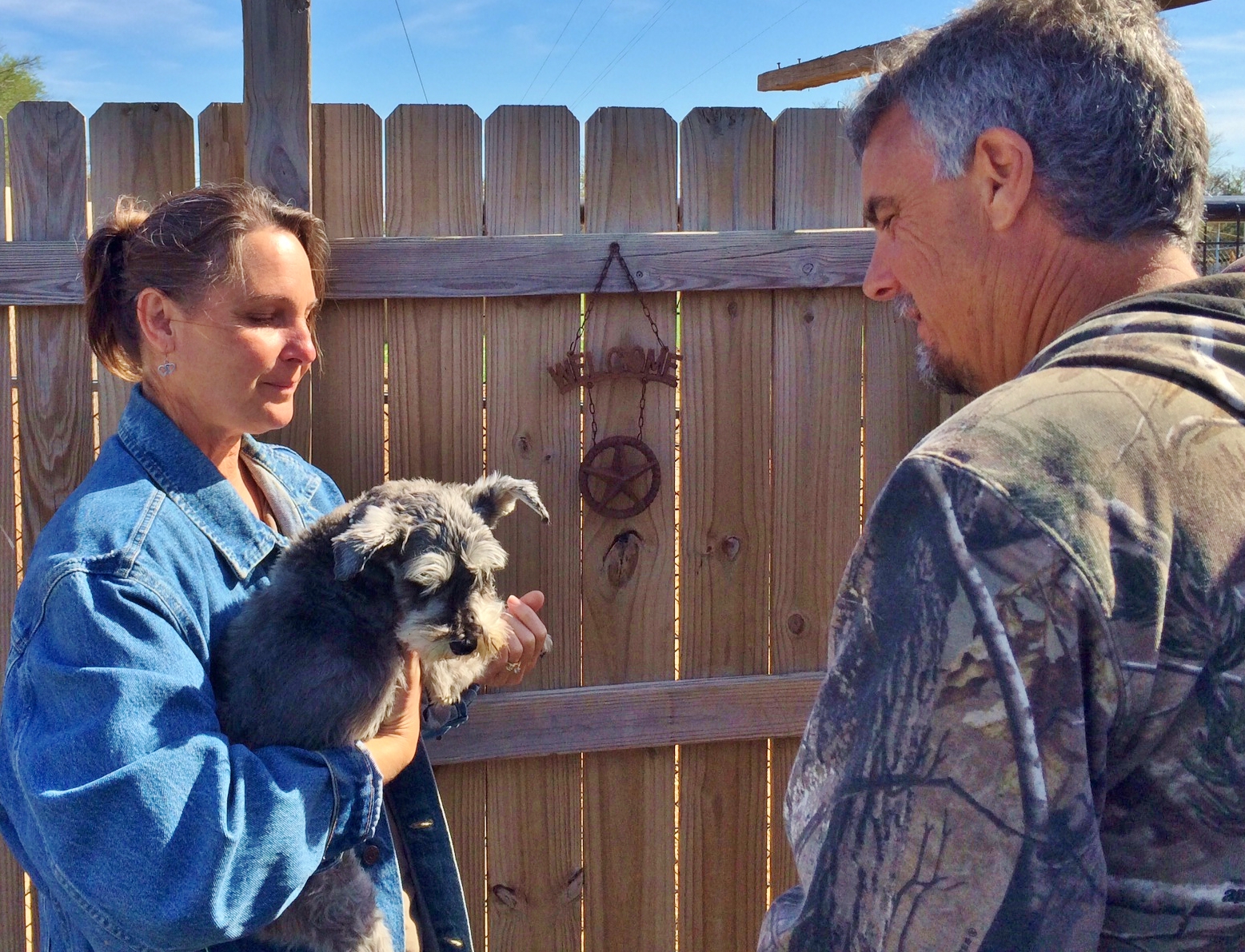 Γυναίκα που κρατάει μαύρο & ασημένιο Mini-Schnauzer σκύλο με τον άνθρωπο που κοιτάζει επάνω. Υιοθετώντας ένα mini-schnauzer από ένα καταφύγιο. #Texashomesteader
