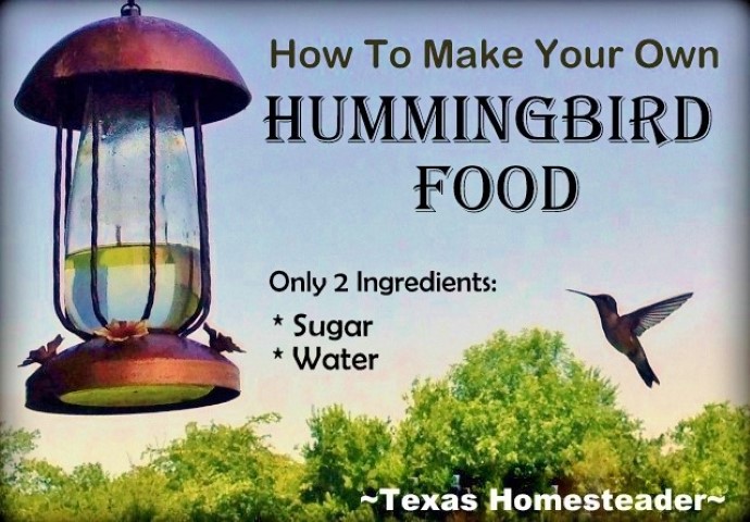 Hummingbird με φτερά που εξαπλώνεται σε ένα τροφοδότη κολίβριου γεμάτο με σπιτικό σιρόπι. Υδάτο ζάχαρης νερού από πτηνά Hummingbird